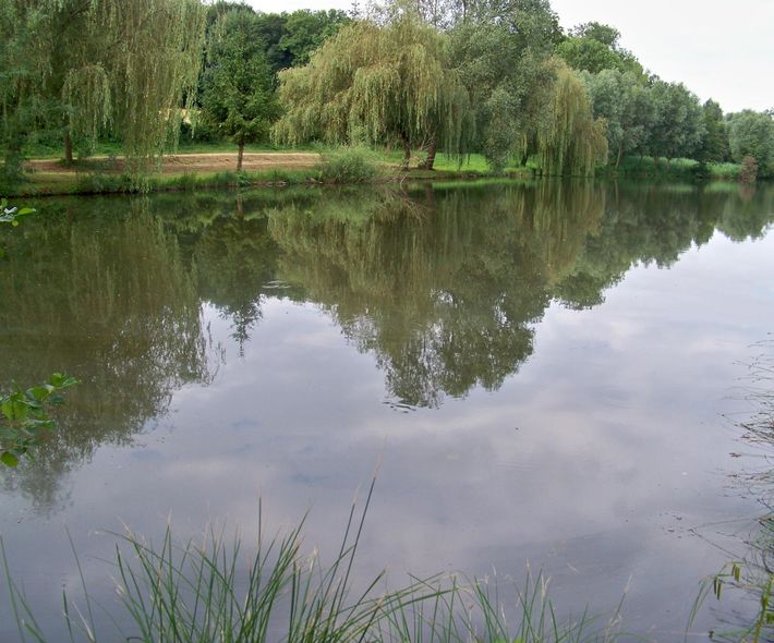 Atelier Pêche et Nature de Mouy