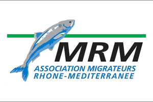 16-17 novembre : 5e édition des Journées Poissons Migrateurs en Rhône-Méditerrannée