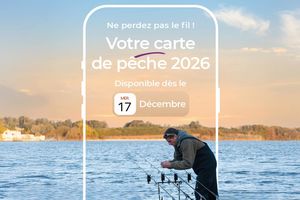 Cartes de pêche 2026 : un an de plaisir en ligne de mire !