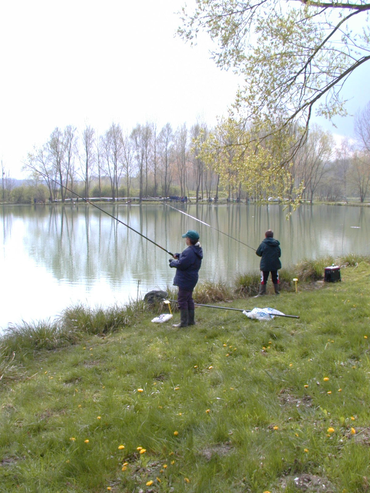 etang truite 80