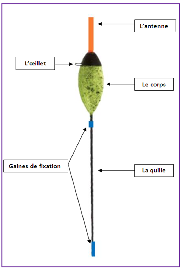 Les flotteurs de pêche au coup - Génération Pêche