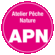 APN