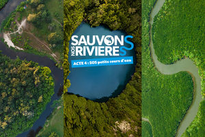 Sauvons nos rivières – Acte 4 – SOS petits cours d'eau