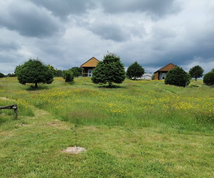 Les Maisons de coline