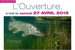 C’est officiel : ouverture du brochet le 27 avril 2019 !