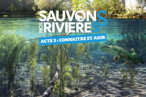 Sauvons nos rivières - Acte 3 - Connaître et agir
