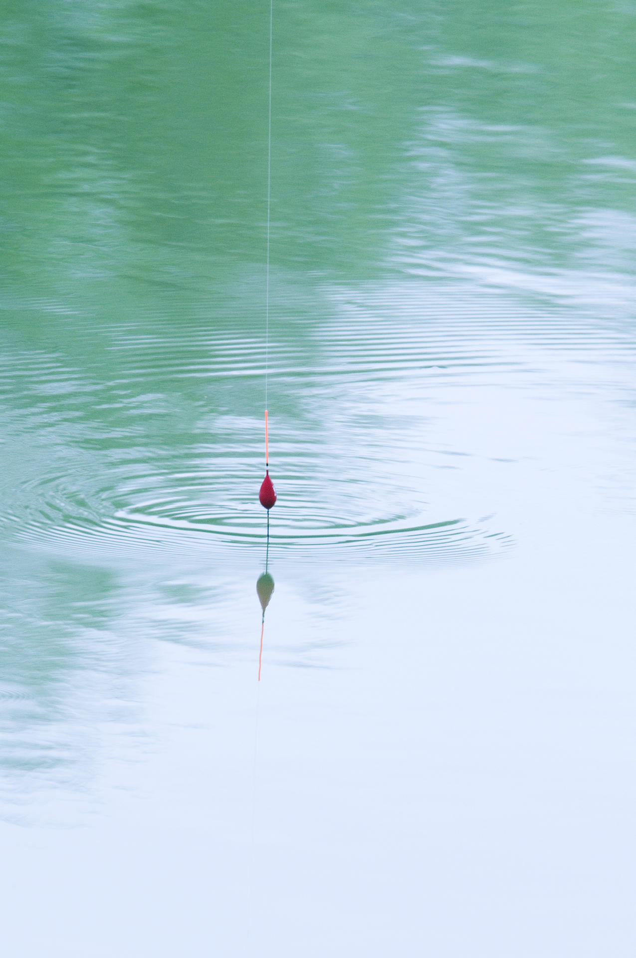 Comment sonder à la pêche au coup ? - Génération Pêche